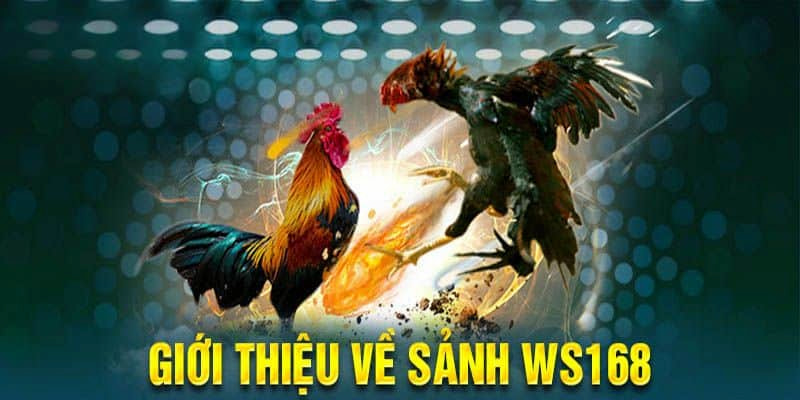 Tìm hiểu về sảnh game cá cược hot nhất thị trường 33WIN casino